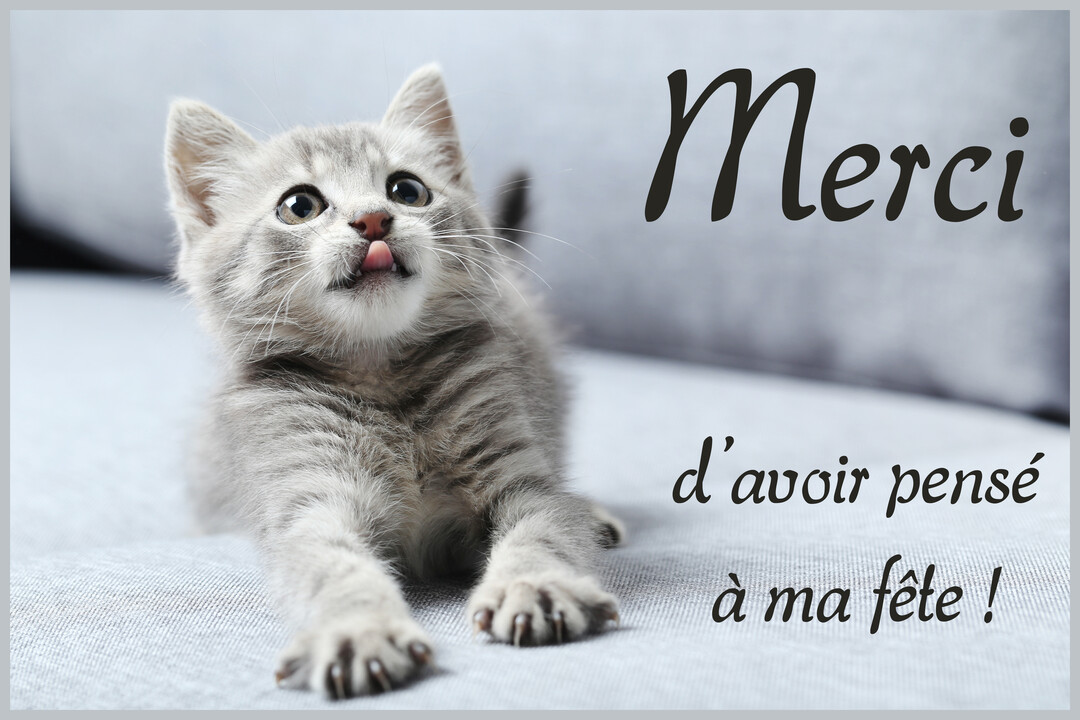 Un jeune chaton tigré gris est allongé sur une surface textile, tirant la langue de manière espiègle, avec un texte de remerciement manuscrit superposé.