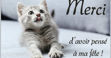 Aperçu de la carte : Merci d'avoir pensé à ma fête !