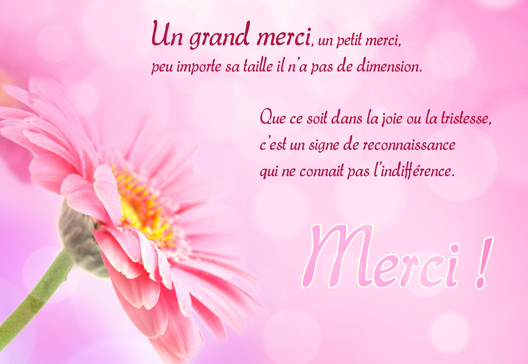 Une carte de remerciements présentant un poème sur la gratitude à côté d'une fleur de gerbera rose sur un fond lumineux et flou.