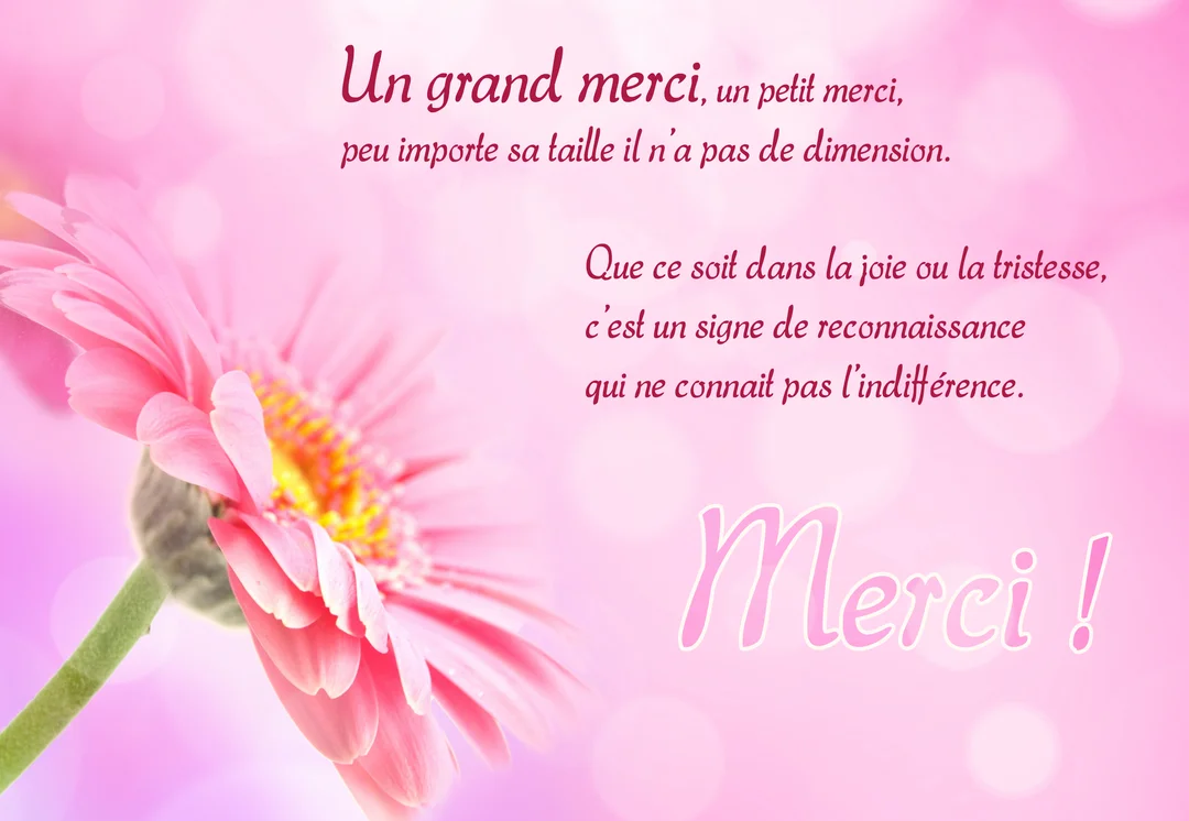 Une carte de remerciements présentant un poème sur la gratitude à côté d'une fleur de gerbera rose sur un fond lumineux et flou.