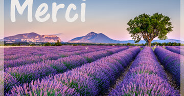 Aperçu de la carte : Merci