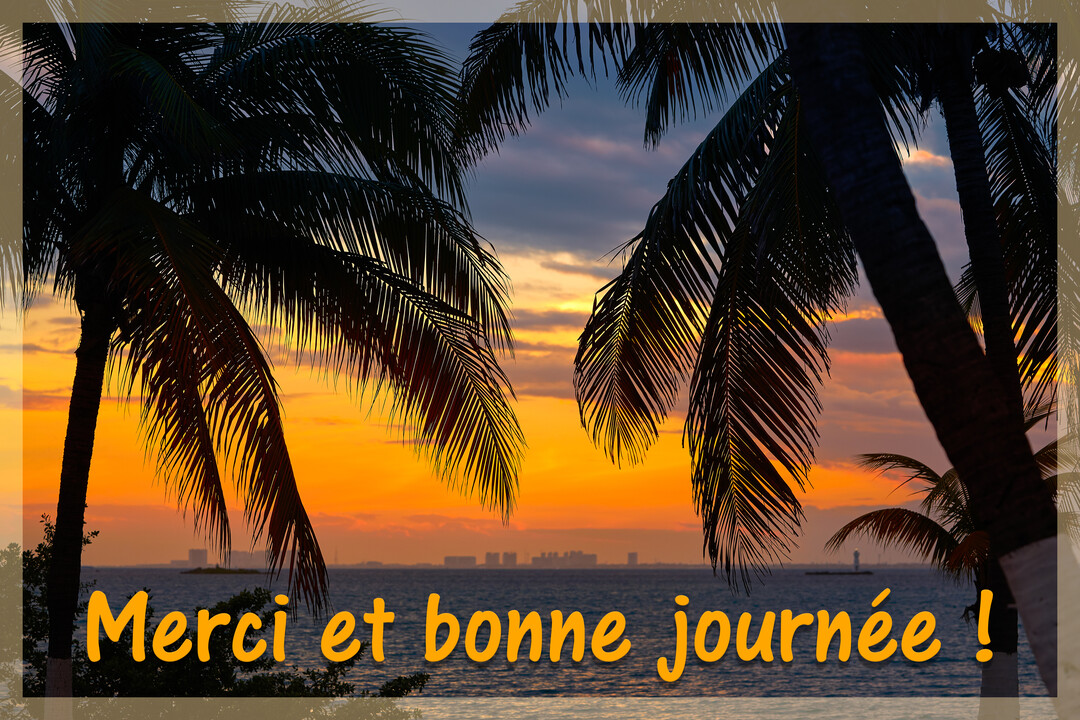 Paysage tropical au crépuscule avec les silhouettes de deux grands palmiers au premier plan, surplombant une mer calme et un ciel orangé.