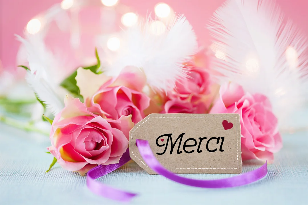 Une composition photographique montrant des roses roses, des plumes blanches et une étiquette en kraft sur laquelle est écrit 'Merci' avec un petit cœur.