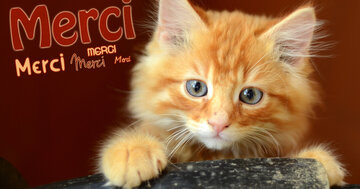 Aperçu de la carte : Merci