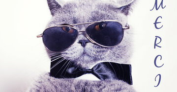 Aperçu de la carte : Merci