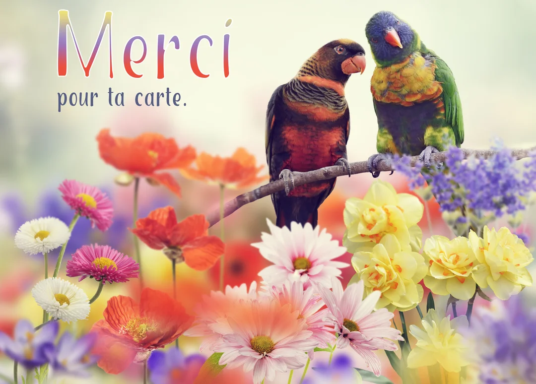 Deux perroquets colorés, un lori et un autre oiseau, sont perchés sur une branche au-dessus d'un champ de fleurs multicolores.