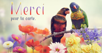 Aperçu de la carte : Merci pour ta carte