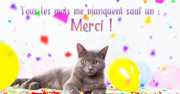 Aperçu de la carte : Tous les mots me manquent sauf un : Merci !