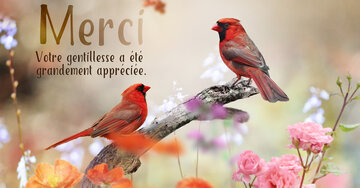 Aperçu de la carte : Merci, votre gentillesse a été 
grandement appréciée.