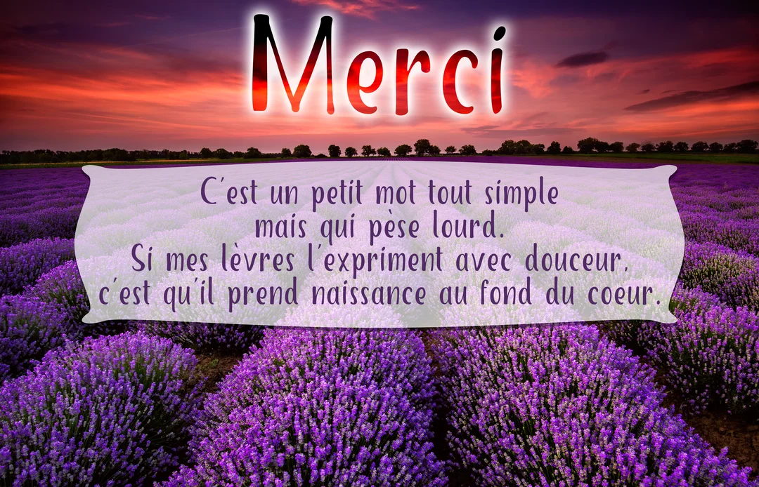 Un champ de lavande violette s'étend sous un ciel crépusculaire rose et orange, avec le mot 'Merci' et un poème superposés.