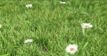 Aperçu de la carte : « C'est dans ces instants que l'on compte ses vrais amis... »