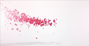 Aperçu de la carte : Je vous remercie