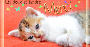 Aperçu de la carte : Un doux et tendre merci.