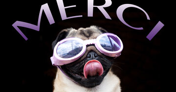 Aperçu de la carte : Merci