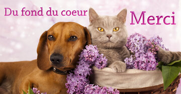 Aperçu de la carte : Du fond du coeur merci.