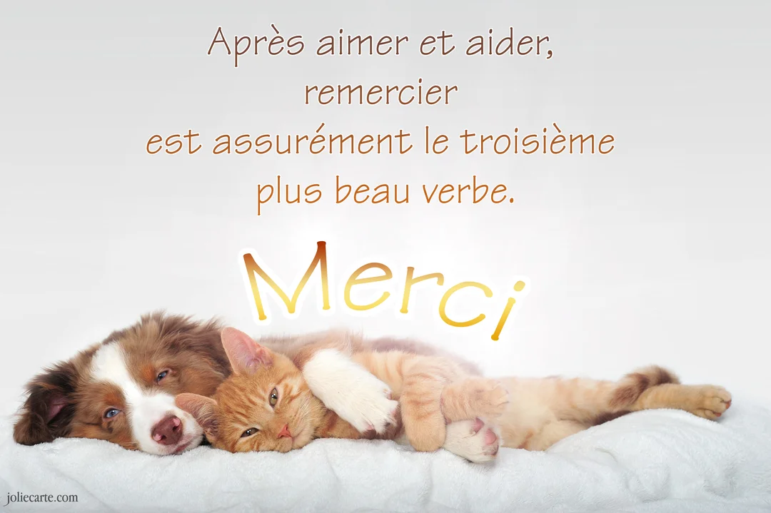 Un chiot berger australien et un chaton roux sont blottis l'un contre l'autre sur une couverture blanche, avec un texte de remerciement.