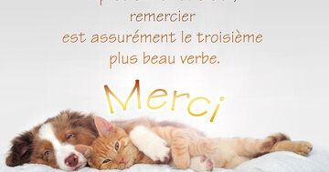 Aperçu de la carte : « Après aimer et aider, remercier est assurément le troisième plus beau verbe... »