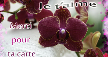 Aperçu de la carte : Merci pour ta carte. Je t'aime.