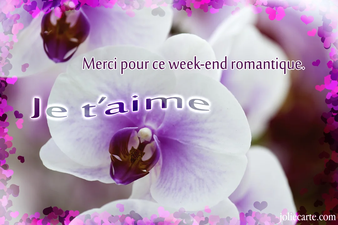 Gros plan sur des fleurs d'orchidées blanches et violettes, avec un message de remerciement romantique et un cadre décoratif composé de petits cœurs.