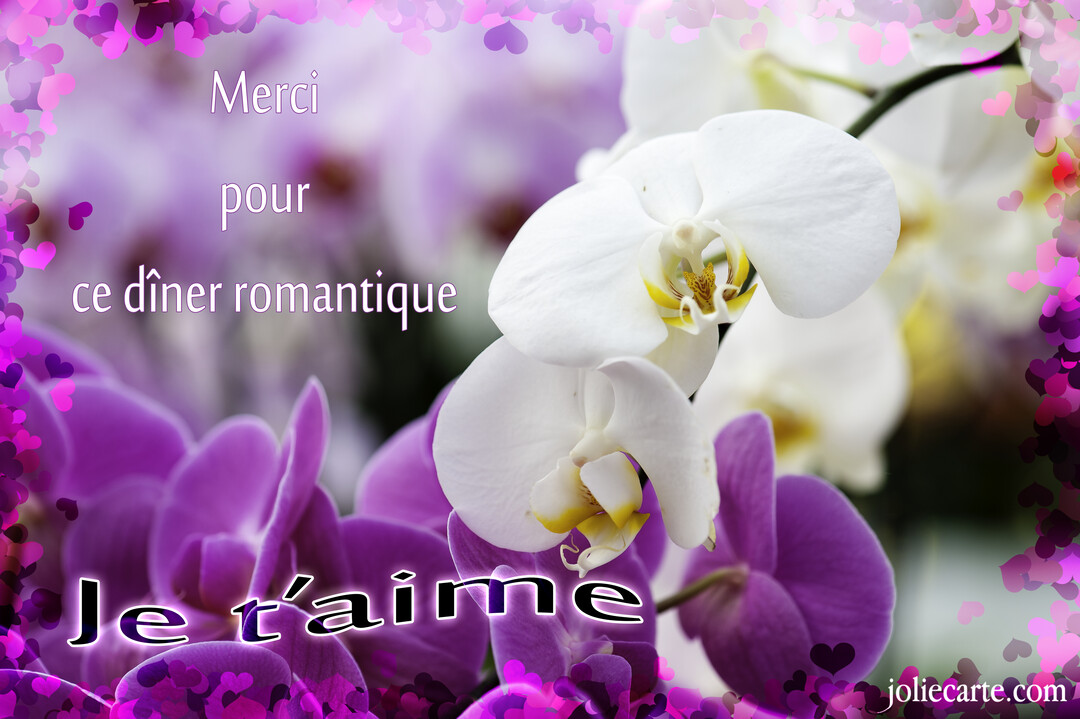 Une photographie de magnifiques orchidées blanches et violettes, encadrée de cœurs, avec le message romantique 'Merci pour ce dîner romantique. Je t'aime'.