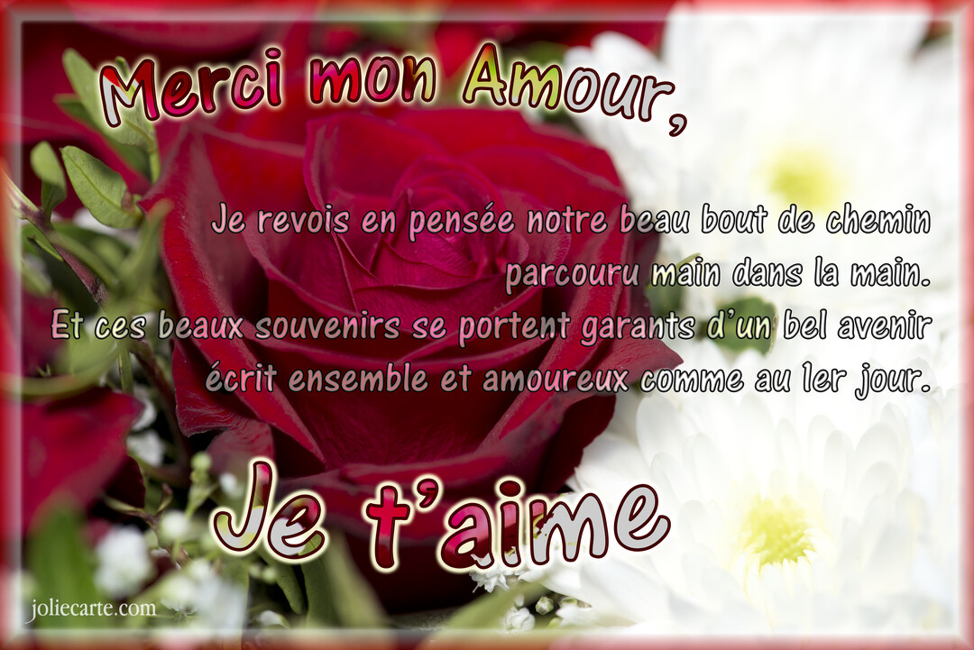 Gros plan sur un bouquet de roses rouges et de fleurs blanches, avec un texte superposé exprimant un remerciement amoureux et un "Je t'aime".