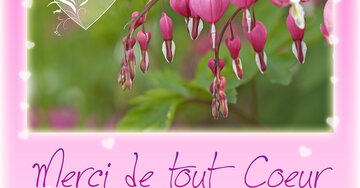 Aperçu de la carte : Merci de tout coeur