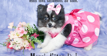 Aperçu de la carte : « Une visite, un sourire, un bonjour et un merci... »