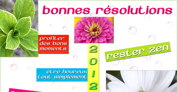 Aperçu de la carte : « Bonnes résolutions 2013 : profiter, rester zen, être heureux... »