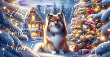 Aperçu de la carte : C ’est bientôt Noël !