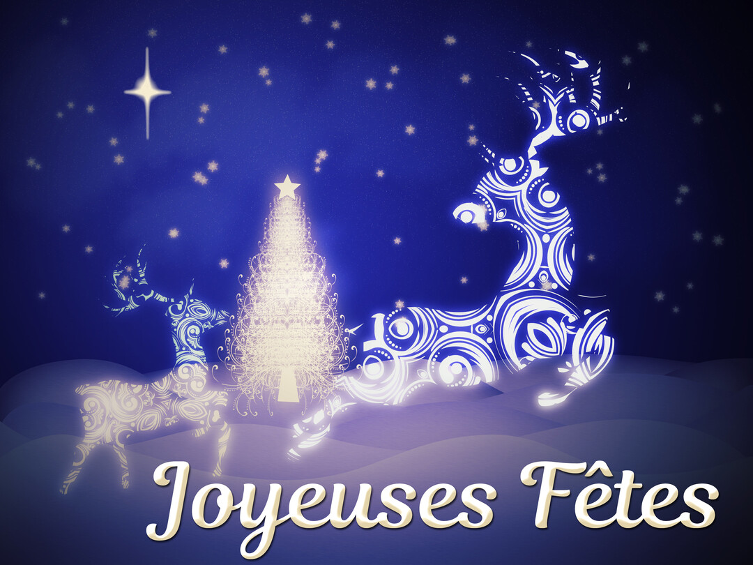 Une scène nocturne hivernale avec deux rennes aux motifs complexes et un sapin scintillant, sous un ciel bleu marine parsemé d'étoiles.