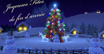 Aperçu de la carte : Joyeuses Fêtes
de fin d'année