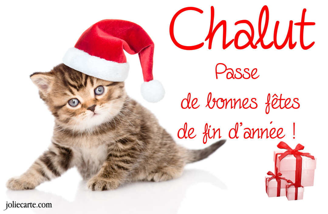 Un jeune chaton tigré assis, portant un bonnet de Père Noël rouge et blanc, sur un fond blanc avec des cadeaux.