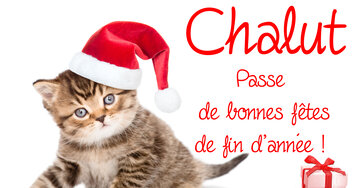 Aperçu de la carte : Chalut
Passe 
de bonnes fêtes
de fin d'année !