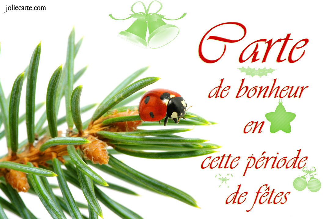 Une coccinelle rouge est posée sur une branche de sapin, à côté d'un texte de vœux de bonheur pour les fêtes de fin d'année.