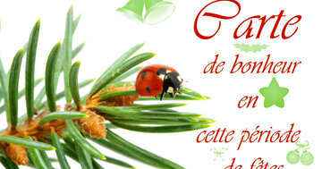 Aperçu de la carte : Carte 
de bonheur
en 
cette période 
de fêtes