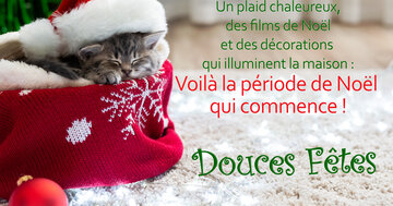 Aperçu de la carte : « Un plaid chaleureux, des films de Noël et des décorations... »