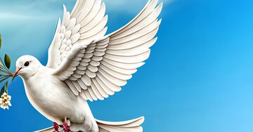 Aperçu de la carte : Merci