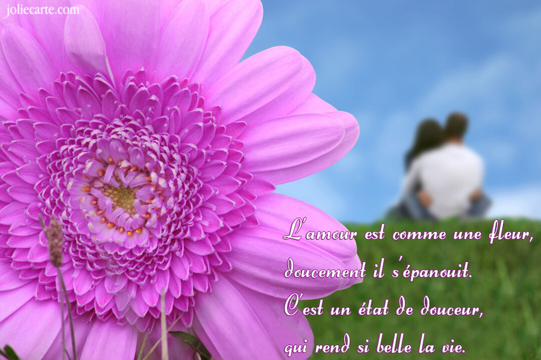 Une carte romantique avec, au premier plan, une grande fleur rose et, à l'arrière-plan flouté, un couple assis dans l'herbe.