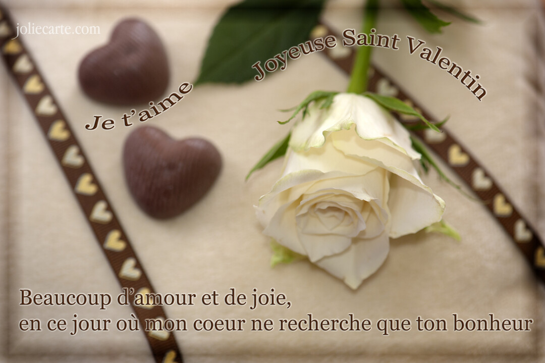 Une composition romantique pour la Saint-Valentin montrant une rose blanche, des chocolats en cĆur et des textes d'amour sur un fond doux.