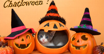 Chatloween !