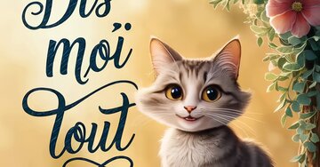 Aperçu de la carte : Dis-moi tout