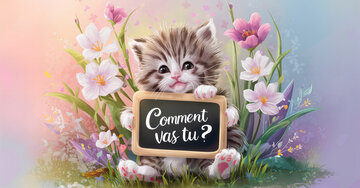 Aperçu de la carte : Comment vas-tu ?