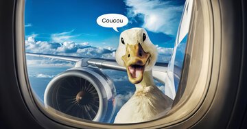 Aperçu de la carte : Coucou