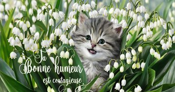 Aperçu de la carte : Ta Bonne humeur est contagieuse