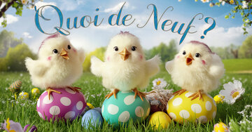Aperçu de la carte : Quoi de Neuf ?