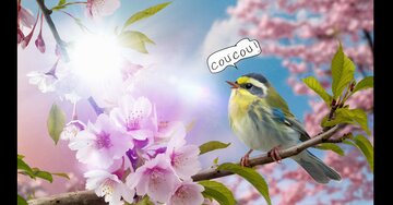 Aperçu de la carte : Coucou !