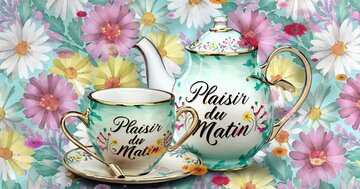 Aperçu de la carte : 