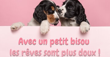 Aperçu de la carte : Avec un petit bisou les rêves sont plus doux !
