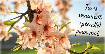 Aperçu de la carte : Tu es
vraiment
 spécial(e)
pour moi.