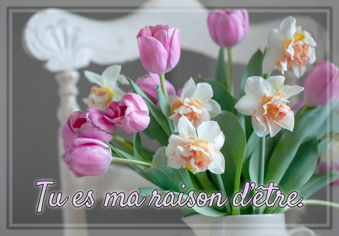 Un bouquet de tulipes roses et de narcisses blancs et pêche dans un vase, avec le texte 'Tu es ma raison d'être'.